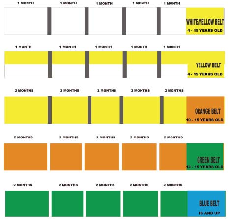 ベルトシステム