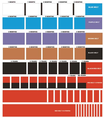 ベルトシステム